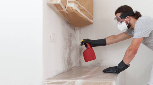 Professional Commercial Mold Remediation technician working in Port Jefferson Station, NY